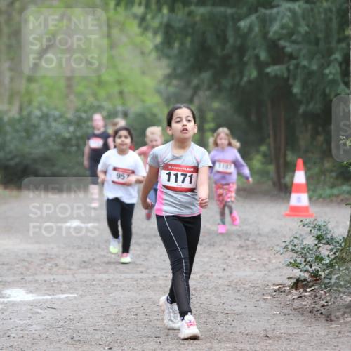 13.04.2025 - Hammer Lauf Jannik Wohlers http://msf.ph/oto/7625985 13.04.2025 08:23:32 Laufen 95, 15, 1171, 1147 meine-sportfotos.de