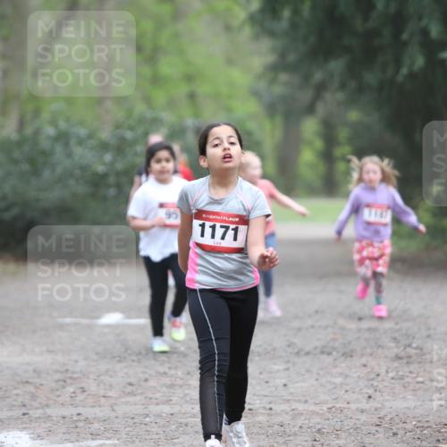 13.04.2025 - Hammer Lauf Jannik Wohlers http://msf.ph/oto/7625988 13.04.2025 08:23:31 Laufen 15, 1171, 1147 meine-sportfotos.de