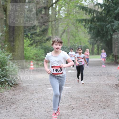 13.04.2025 - Hammer Lauf Jannik Wohlers http://msf.ph/oto/7625997 13.04.2025 08:23:29 Laufen 15, 1469, 1171 meine-sportfotos.de