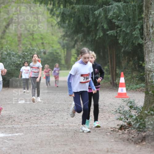 13.04.2025 - Hammer Lauf Jannik Wohlers http://msf.ph/oto/7626014 13.04.2025 08:23:24 Laufen 1469, 1171, 794 meine-sportfotos.de