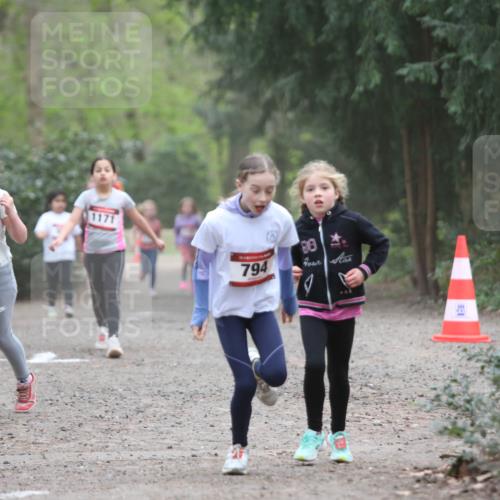 13.04.2025 - Hammer Lauf Jannik Wohlers http://msf.ph/oto/7626016 13.04.2025 08:23:24 Laufen 1469, 1171, 794 meine-sportfotos.de
