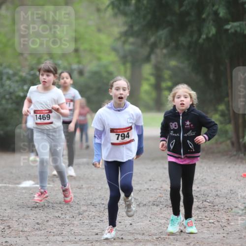 13.04.2025 - Hammer Lauf Jannik Wohlers http://msf.ph/oto/7626020 13.04.2025 08:23:23 Laufen 1469, 15, 794, 98 meine-sportfotos.de