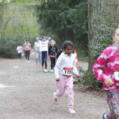 13.04.2025 - Hammer Lauf Jannik Wohlers http://msf.ph/oto/7626023 13.04.2025 08:23:21 Laufen 794, 15, 1759, 680 meine-sportfotos.de