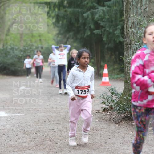 13.04.2025 - Hammer Lauf Jannik Wohlers http://msf.ph/oto/7626024 13.04.2025 08:23:21 Laufen 794, 15, 1759, 680 meine-sportfotos.de