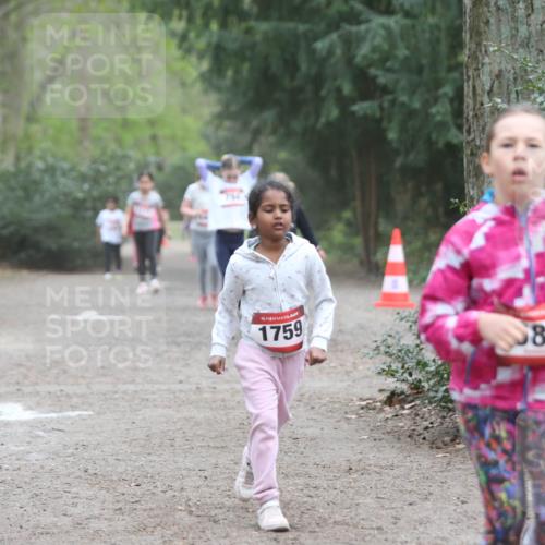 13.04.2025 - Hammer Lauf Jannik Wohlers http://msf.ph/oto/7626025 13.04.2025 08:23:21 Laufen 734, 15, 1759, 80 meine-sportfotos.de