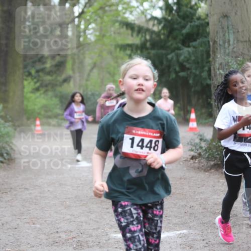 13.04.2025 - Hammer Lauf Jannik Wohlers http://msf.ph/oto/7626070 13.04.2025 08:23:10 Laufen 456, 15, 1448 meine-sportfotos.de