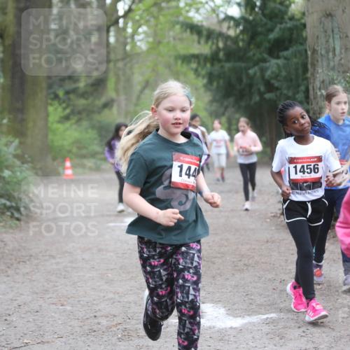 13.04.2025 - Hammer Lauf Jannik Wohlers http://msf.ph/oto/7626072 13.04.2025 08:23:09 Laufen 15, 144, 1456, 350 meine-sportfotos.de