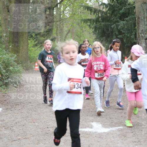 13.04.2025 - Hammer Lauf Jannik Wohlers http://msf.ph/oto/7626077 13.04.2025 08:23:07 Laufen 144, 456, 1015, 34, 393, 894 meine-sportfotos.de