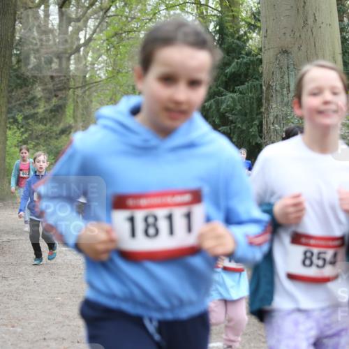 13.04.2025 - Hammer Lauf Jannik Wohlers http://msf.ph/oto/7626100 13.04.2025 08:23:00 Laufen 365, 802, 1811, 117, 854 meine-sportfotos.de