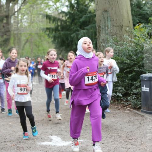 13.04.2025 - Hammer Lauf Jannik Wohlers http://msf.ph/oto/7626108 13.04.2025 08:22:57 Laufen 865, 854, 901, 13, 1141, 15, 14749, 13 meine-sportfotos.de