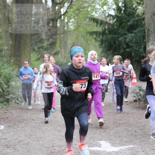 13.04.2025 - Hammer Lauf Jannik Wohlers http://msf.ph/oto/7626112 13.04.2025 08:22:55 Laufen 18, 901, 15, 73, 1474, 809, 1423 meine-sportfotos.de