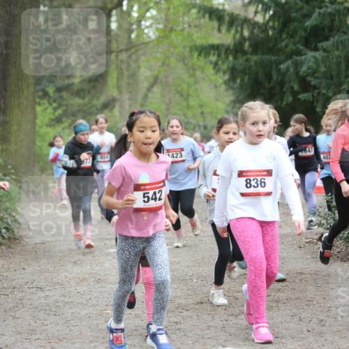 13.04.2025 - Hammer Lauf Jannik Wohlers http://msf.ph/oto/7626121 13.04.2025 08:22:52 Laufen 852, 973, 854, 15, 542, 1423, 15, 836, 1847, 402, 803 meine-sportfotos.de