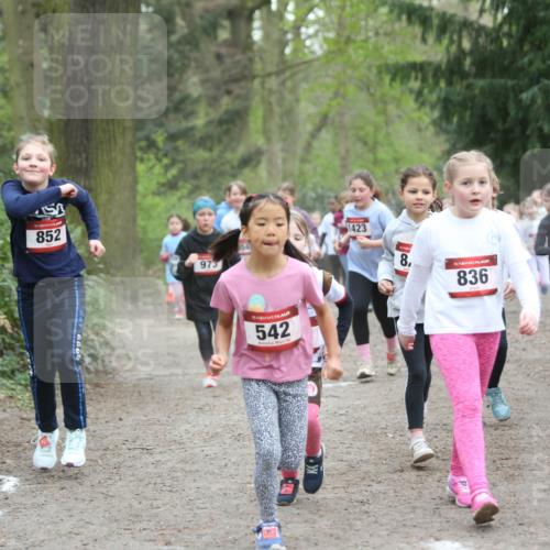 13.04.2025 - Hammer Lauf Jannik Wohlers http://msf.ph/oto/7626122 13.04.2025 08:22:52 Laufen 852, 973, 542, 1423, 8, 15, 836, 1547, 803 meine-sportfotos.de