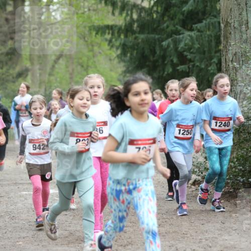 13.04.2025 - Hammer Lauf Jannik Wohlers http://msf.ph/oto/7626125 13.04.2025 08:22:51 Laufen 154, 15, 942, 3, 26, 15, 542, 15, 1250, 15, 1240 meine-sportfotos.de