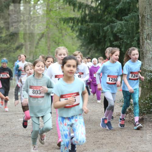 13.04.2025 - Hammer Lauf Jannik Wohlers http://msf.ph/oto/7626126 13.04.2025 08:22:51 Laufen 852, 15, 542, 973, 15, 803, 15, 15, 1250, 1240 meine-sportfotos.de