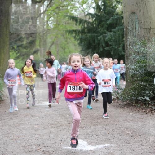 13.04.2025 - Hammer Lauf Jannik Wohlers http://msf.ph/oto/7626148 13.04.2025 08:22:45 Laufen 1230, 1425, 361, 1240, 15, 867, 15, 1916, 813 meine-sportfotos.de
