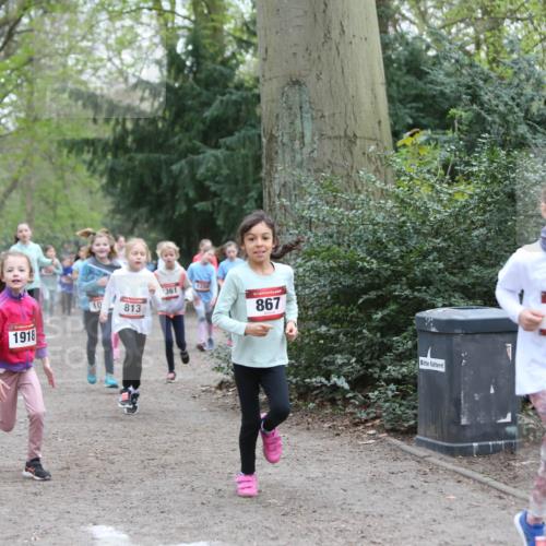 13.04.2025 - Hammer Lauf Jannik Wohlers http://msf.ph/oto/7626150 13.04.2025 08:22:45 Laufen 230, 1425, 10, 1918, 813, 361, 867, 816 meine-sportfotos.de
