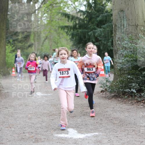 13.04.2025 - Hammer Lauf Jannik Wohlers http://msf.ph/oto/7626158 13.04.2025 08:22:43 Laufen 210, 1918, 1873, 36, 963 meine-sportfotos.de