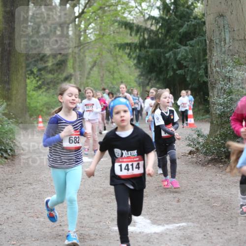 13.04.2025 - Hammer Lauf Jannik Wohlers http://msf.ph/oto/7626169 13.04.2025 08:22:40 Laufen 1873, 682, 1414, 12, 413, 144, 1 meine-sportfotos.de