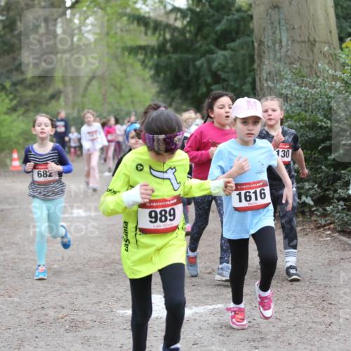 13.04.2025 - Hammer Lauf Jannik Wohlers http://msf.ph/oto/7626173 13.04.2025 08:22:39 Laufen 682, 15, 989, 15, 1616, 130, 15, 1872 meine-sportfotos.de