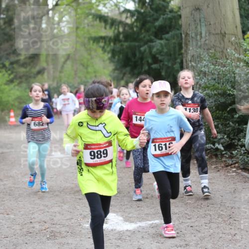 13.04.2025 - Hammer Lauf Jannik Wohlers http://msf.ph/oto/7626174 13.04.2025 08:22:39 Laufen 682, 144, 15, 989, 1619, 1130, 15, 1973 meine-sportfotos.de