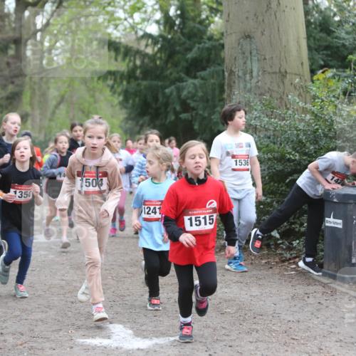 13.04.2025 - Hammer Lauf Jannik Wohlers http://msf.ph/oto/7626203 13.04.2025 08:22:32 Laufen 886, 1350, 1504, 1241, 15, 1515, 1536 meine-sportfotos.de