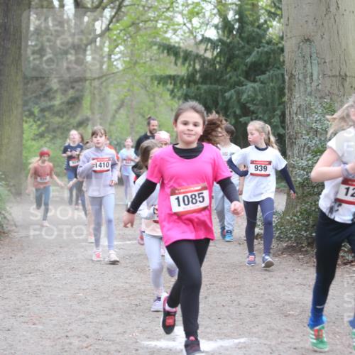 13.04.2025 - Hammer Lauf Jannik Wohlers http://msf.ph/oto/7626213 13.04.2025 08:22:28 Laufen 1410, 1085, 939, 123312 meine-sportfotos.de