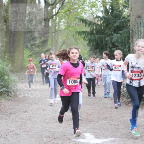 13.04.2025 - Hammer Lauf Jannik Wohlers http://msf.ph/oto/7626215 13.04.2025 08:22:28 Laufen 924, 1410, 15, 1085, 1428, 19, 153, 939, 1233, 1210 meine-sportfotos.de