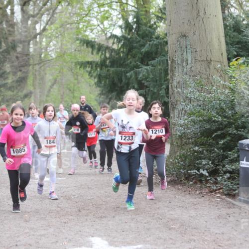 13.04.2025 - Hammer Lauf Jannik Wohlers http://msf.ph/oto/7626218 13.04.2025 08:22:27 Laufen 1842, 1085, 518, 1515, 1210, 1233 meine-sportfotos.de