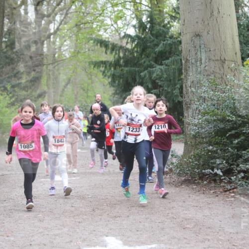 13.04.2025 - Hammer Lauf Jannik Wohlers http://msf.ph/oto/7626219 13.04.2025 08:22:27 Laufen 1842, 1085, 142, 1233, 1210 meine-sportfotos.de