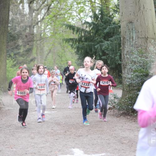 13.04.2025 - Hammer Lauf Jannik Wohlers http://msf.ph/oto/7626220 13.04.2025 08:22:27 Laufen 1518, 50, 1210, 1233, 1842, 1085, 846, 6 meine-sportfotos.de