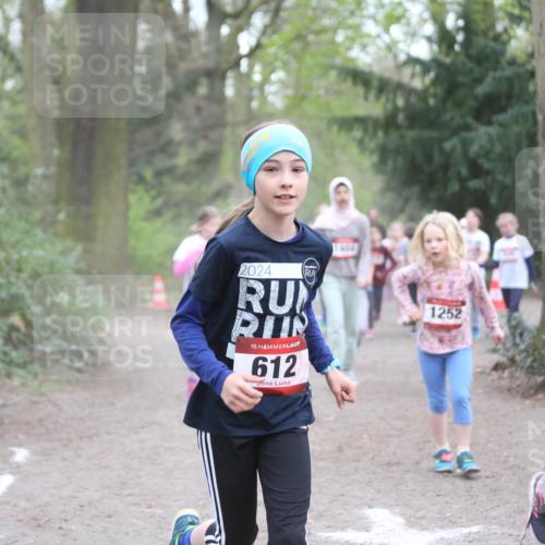 13.04.2025 - Hammer Lauf Jannik Wohlers http://msf.ph/oto/7626233 13.04.2025 08:22:23 Laufen 2024, 15, 612, 404, 1252, 15, 72 meine-sportfotos.de
