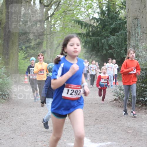 13.04.2025 - Hammer Lauf Jannik Wohlers http://msf.ph/oto/7626241 13.04.2025 08:22:20 Laufen 612, 1885, 1292, 1428, 1536, 1522 meine-sportfotos.de