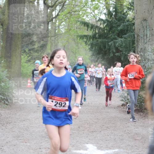 13.04.2025 - Hammer Lauf Jannik Wohlers http://msf.ph/oto/7626242 13.04.2025 08:22:19 Laufen 612, 292, 1451, 1428, 1536, 1522, 136 meine-sportfotos.de