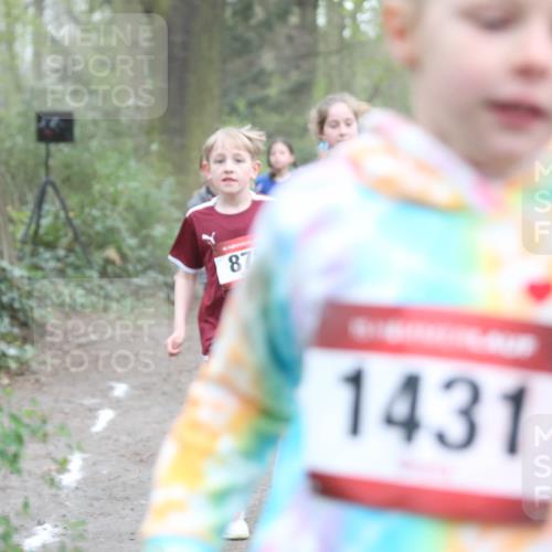 13.04.2025 - Hammer Lauf Jannik Wohlers http://msf.ph/oto/7626250 13.04.2025 08:22:17 Laufen 87, 1431 meine-sportfotos.de