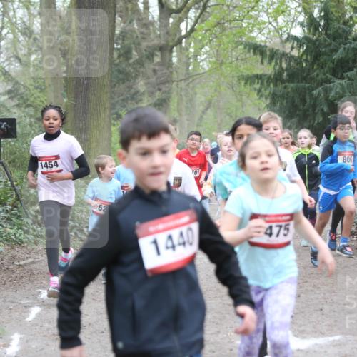 13.04.2025 - Hammer Lauf Jannik Wohlers http://msf.ph/oto/7626264 13.04.2025 08:22:14 Laufen 1454, 62, 701, 1440, 475, 800 meine-sportfotos.de