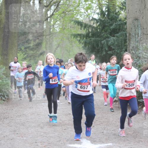 13.04.2025 - Hammer Lauf Jannik Wohlers http://msf.ph/oto/7626276 13.04.2025 08:22:11 Laufen 1454, 1626, 1440, 1453, 657, 43, 1455, 1506, 1411 meine-sportfotos.de