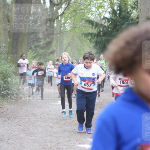13.04.2025 - Hammer Lauf Jannik Wohlers http://msf.ph/oto/7626278 13.04.2025 08:22:11 Laufen 1311, 1431, 1442, 1453, 1506, 1626, 657 meine-sportfotos.de
