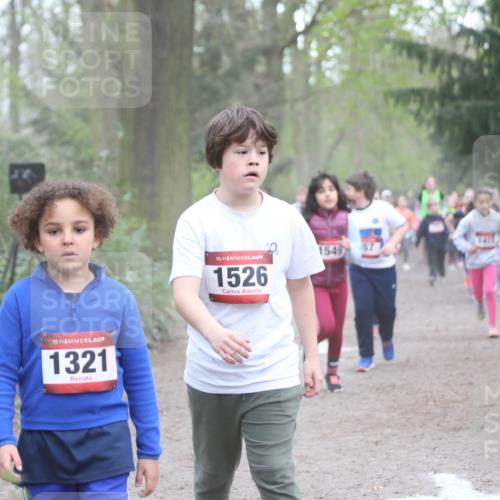 13.04.2025 - Hammer Lauf Jannik Wohlers http://msf.ph/oto/7626280 13.04.2025 08:22:08 Laufen 15, 1321, 15, 1526, 1549 meine-sportfotos.de