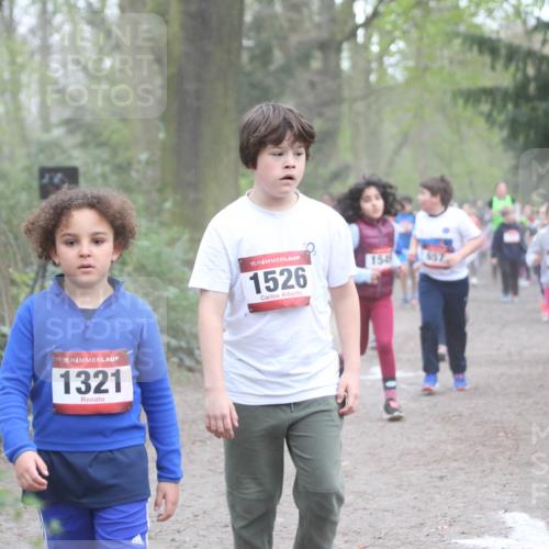 13.04.2025 - Hammer Lauf Jannik Wohlers http://msf.ph/oto/7626281 13.04.2025 08:22:08 Laufen 15, 1321, 15, 1526, 1549, 7417, 15, 18 meine-sportfotos.de