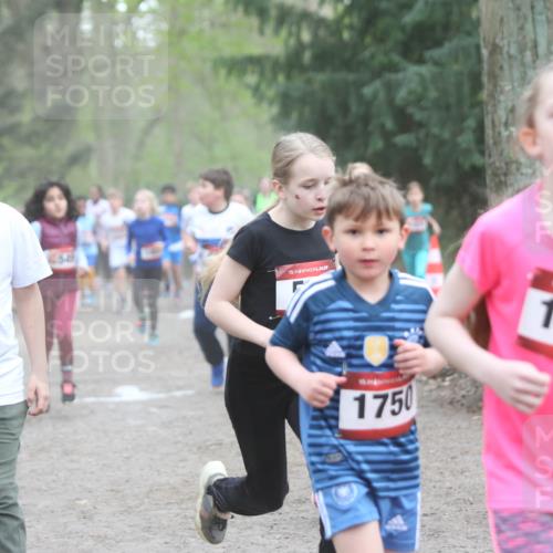 13.04.2025 - Hammer Lauf Jannik Wohlers http://msf.ph/oto/7626283 13.04.2025 08:22:08 Laufen 15, 1526, 15, 1750, 1470 meine-sportfotos.de