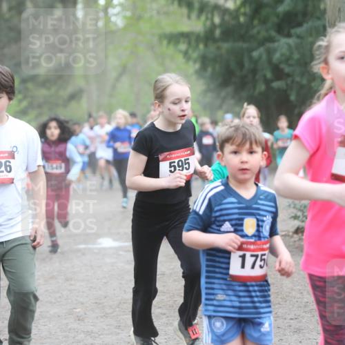 13.04.2025 - Hammer Lauf Jannik Wohlers http://msf.ph/oto/7626284 13.04.2025 08:22:07 Laufen 15, 1526, 15, 595, 15, 175, 1470 meine-sportfotos.de