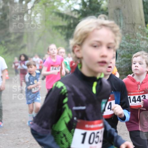 13.04.2025 - Hammer Lauf Jannik Wohlers http://msf.ph/oto/7626289 13.04.2025 08:22:06 Laufen 1321, 1526, 1470, 105, 4, 15, 1443 meine-sportfotos.de