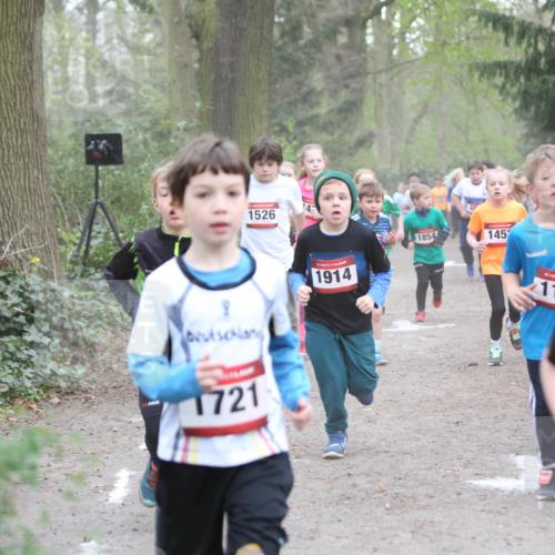 13.04.2025 - Hammer Lauf Jannik Wohlers http://msf.ph/oto/7626294 13.04.2025 08:22:04 Laufen 1526, 1914, 1854, 145, 1721, 118, 105 meine-sportfotos.de