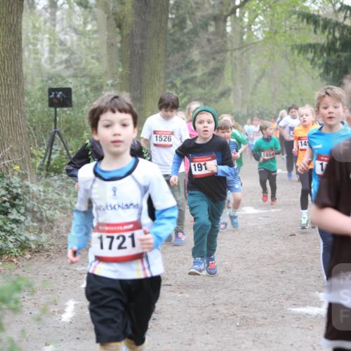 13.04.2025 - Hammer Lauf Jannik Wohlers http://msf.ph/oto/7626295 13.04.2025 08:22:04 Laufen 9, 1721, 1526, 191, 145, 1854, 1, 01 meine-sportfotos.de