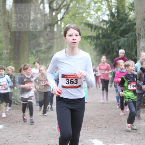 13.04.2025 - Hammer Lauf Jannik Wohlers http://msf.ph/oto/7626308 13.04.2025 08:22:01 Laufen 172, 1413, 15, 363, 144, 1773 meine-sportfotos.de
