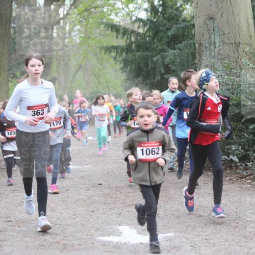 13.04.2025 - Hammer Lauf Jannik Wohlers http://msf.ph/oto/7626311 13.04.2025 08:22:00 Laufen 172, 105, 15, 363, 170, 1401, 14, 1062 meine-sportfotos.de