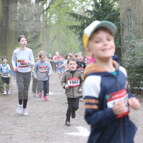13.04.2025 - Hammer Lauf Jannik Wohlers http://msf.ph/oto/7626314 13.04.2025 08:22:00 Laufen 363, 1170, 179, 446, 1062 meine-sportfotos.de
