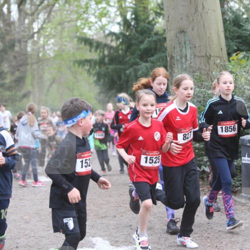 13.04.2025 - Hammer Lauf Jannik Wohlers http://msf.ph/oto/7626320 13.04.2025 08:21:58 Laufen 15, 140, 10, 15, 152, 1446, 1, 15, 1525, 827, 15, 1856 meine-sportfotos.de
