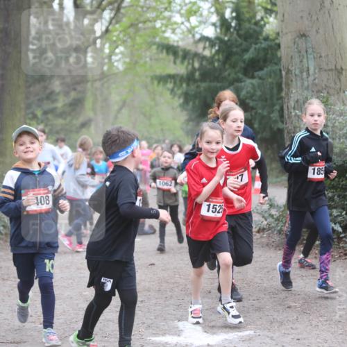 13.04.2025 - Hammer Lauf Jannik Wohlers http://msf.ph/oto/7626322 13.04.2025 08:21:58 Laufen 15, 108, 10, 1062, 15, 152, 185 meine-sportfotos.de
